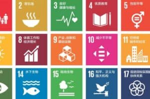 World Engineering Day for Sustainable Development