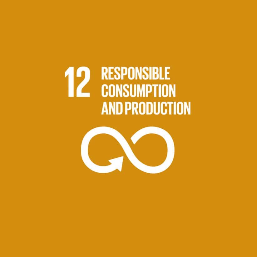 Orange background with the number 12, text "Responsible Consumption and Production," and an infinity symbol with an arrow, representing a sustainable development goal.