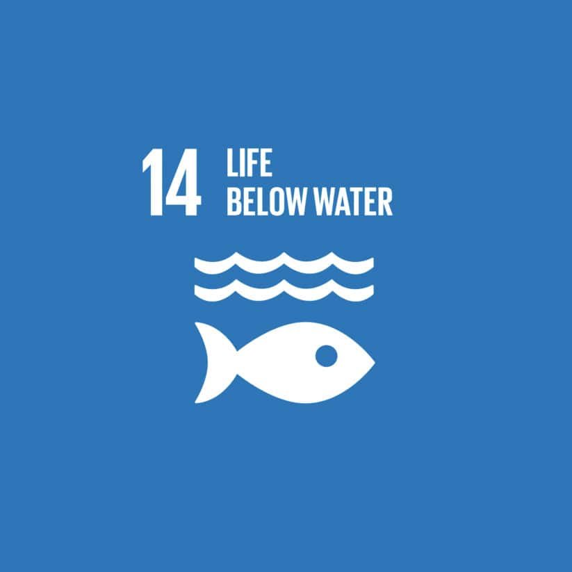 Icon of a fish and waves under the number 14 and text "Life Below Water" on a blue background, representing a United Nations Sustainable Development Goal.