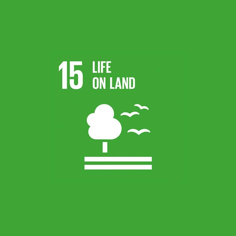 Green background with white symbols: tree, birds, and grass lines. Text reads "15 Life on Land.