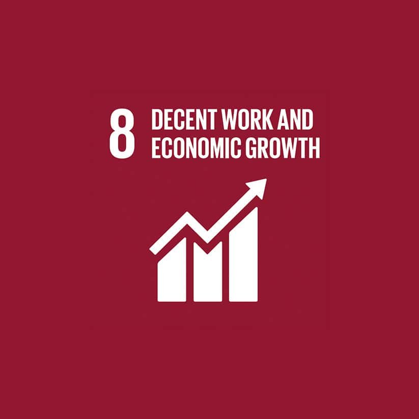 Red image displaying "8 Decent Work and Economic Growth" with an upward arrow and bar graph symbol.