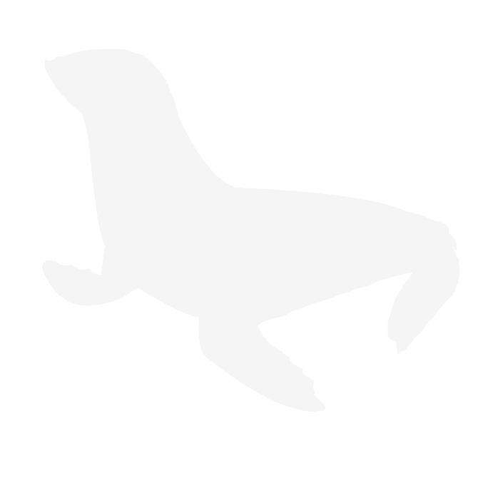 In a lively circus ring, a sea lion expertly balances on a blue and yellow ball, showcasing the wonders of Life Below Water while raising awareness for marine conservation efforts like SDG 14.