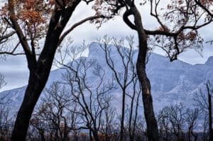 A landscape of cliffs with trees in front of it