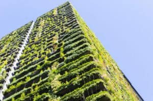 An upward view of a building covered in plants