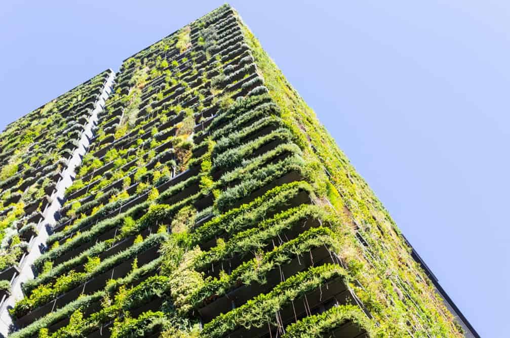 An upward view of a building covered in plants
