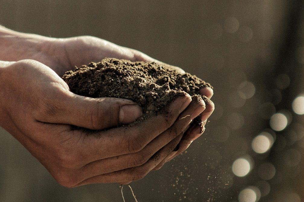 Hands holding a pile of soil