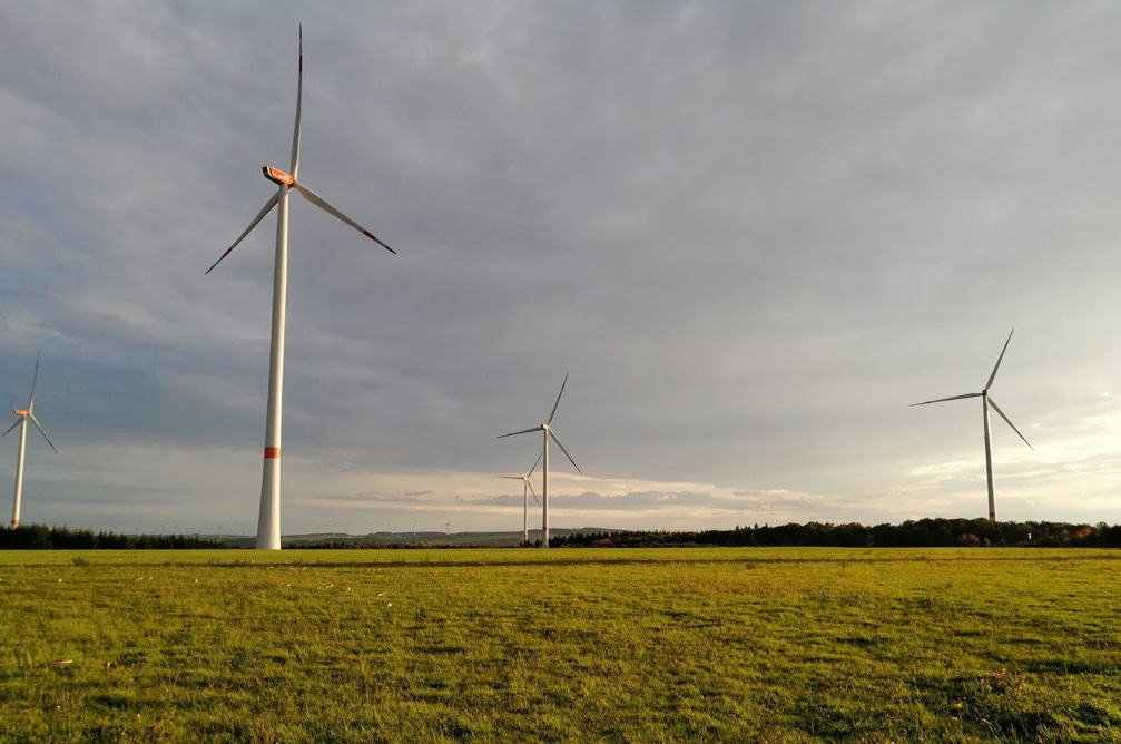 Windmills in a field