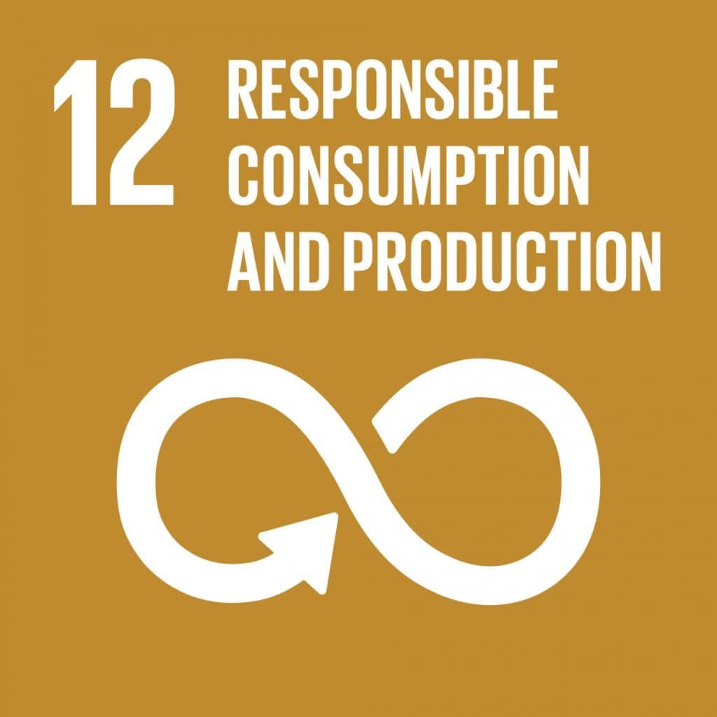 Icon for Sustainable Development Goal 12: Responsible Consumption and Production, displayed during the 2022 engineering hackathon. It features a white infinity symbol with an arrow on a brown background, emphasizing sustainable innovation and responsible practices.
