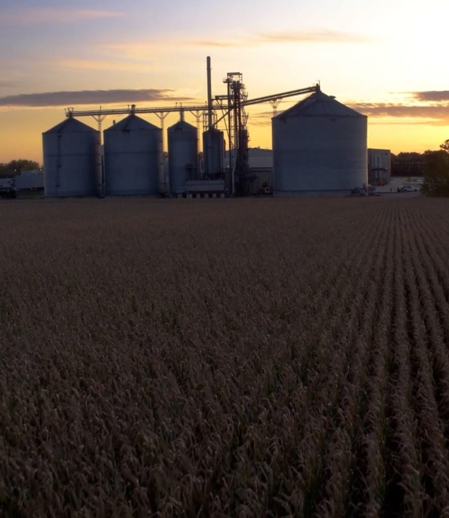 A large grain silo complex at sunset, surrounded by a vast field of corn.