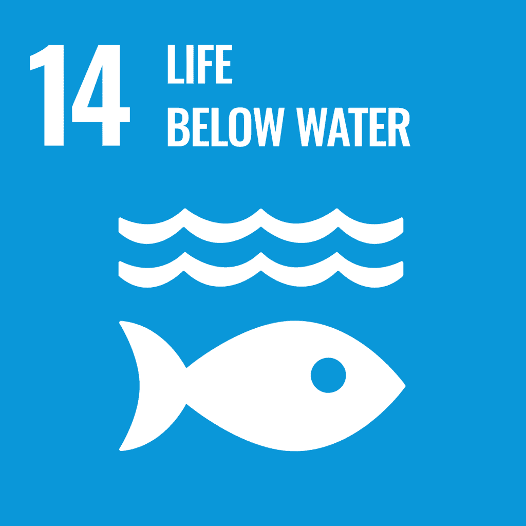 Icon for Sustainable Development Goal 14: Life Below Water, featuring a white fish and wave symbol on a blue background.