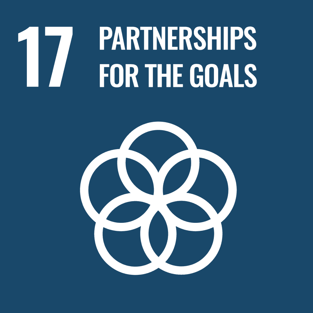 UN Sustainable Development Goal 17 icon titled "Partnerships for the Goals" with an interlocking circle design on a blue background.
