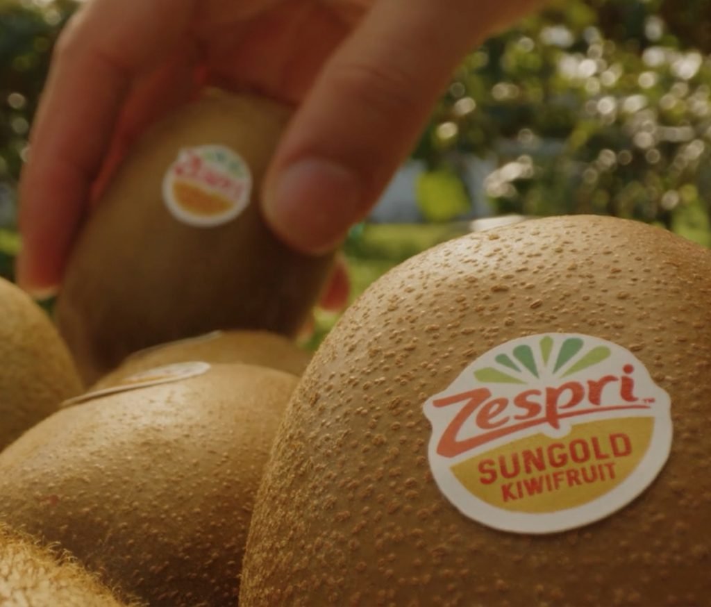 Close-up of a hand picking a Zespri SunGold kiwifruit from a pile, each with a label.
