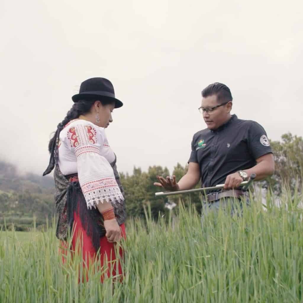 A man and a woman stand in a field of tall grass in Ecuador. The man holds a tablet from Cervecería Nacional, gesturing animatedly while discussing something with the woman under the overcast sky.