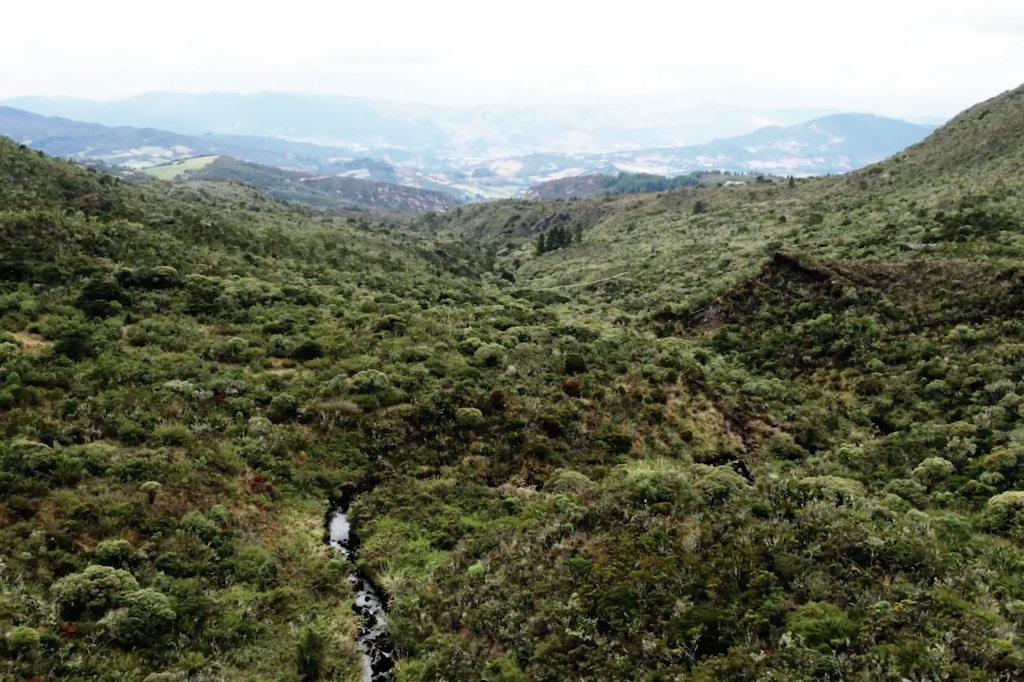 Aerial view of a lush green valley with dense vegetation, small stream, and distant hills under a cloudy sky.